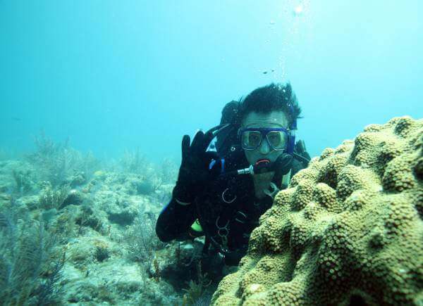 Man Diving In Reef