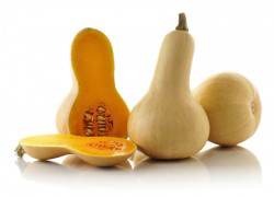 butternut squash