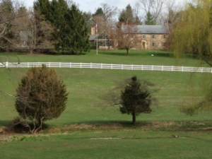 photo-31