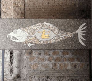 Fish for healthy bones