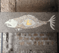 fish for healthy bones
