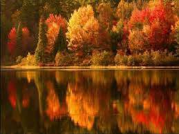 images-16