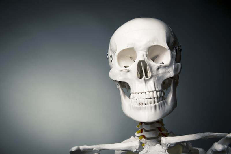 skeleton smiling teeth
